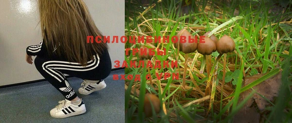 прущая мука Алексин