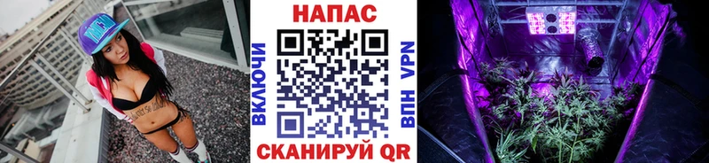 Бошки марихуана семена  hydra tor  Орёл 